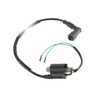 50 / 70 / 90 / 110 / 125cc ATV Quad PIT Dirt Go Kart Ignition Coil