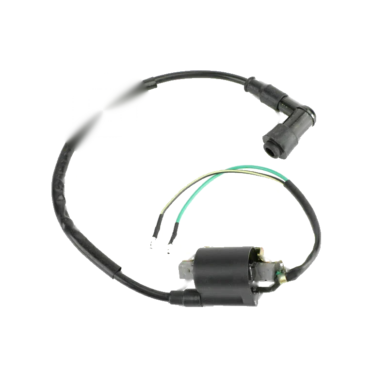 50 / 70 / 90 / 110 / 125cc ATV Quad PIT Dirt Go Kart Ignition Coil