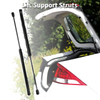 Ford Focus Rear Hatch Lift Supports (2000-2007)