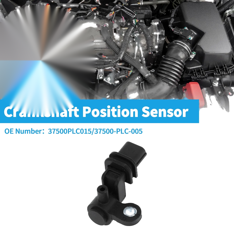 Honda Civic VII 1.6i Crankshaft Position Sensor (2001-2005)