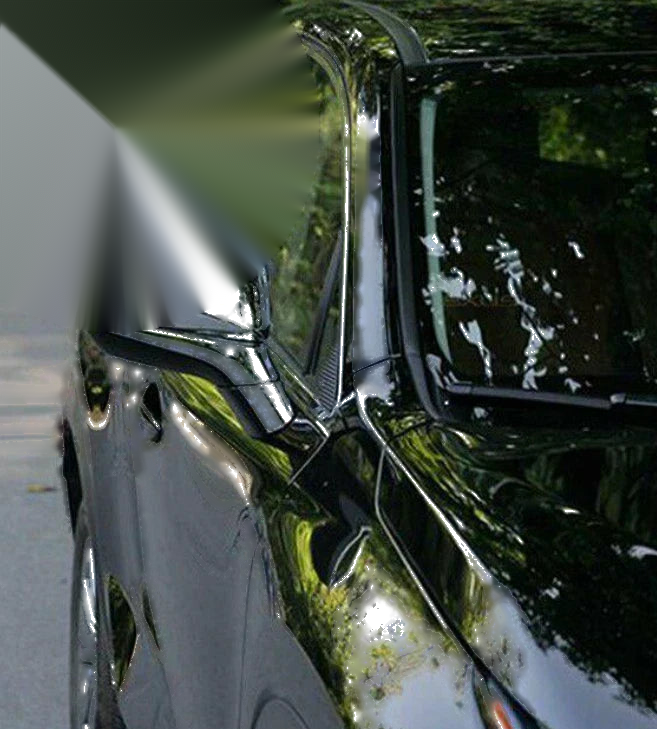 Lexus RX200t RX300 RX350 Rearview Mirror Cover Trim (2016-2022)