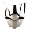 Kawasaki ZX9R 2000-2003 Silver Windscreen Front Windshield