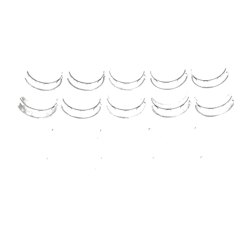 Honda CBR900RR 929 25 x Connecting Rod Crankshaft Main Bearings (00-01)