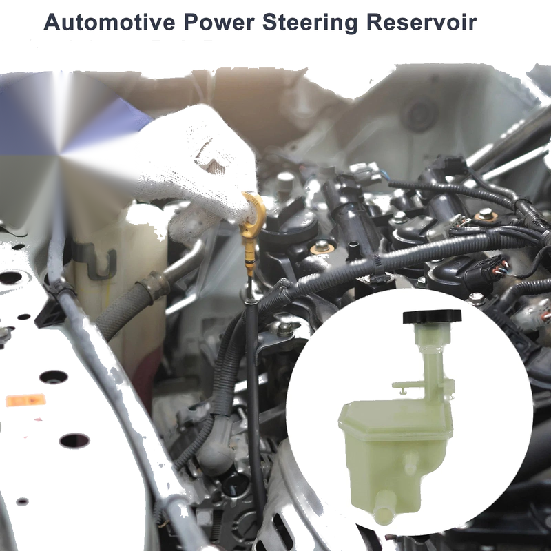 Ford Ecosport Power Steering Reservoir (2002)