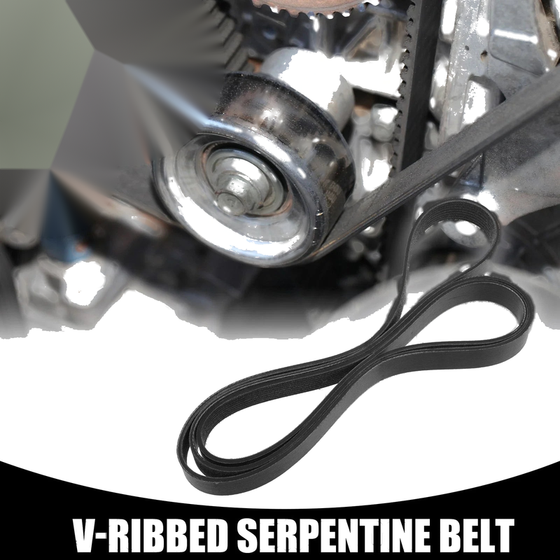Toyota Sequoia V-Ribbed Serpentine Belt (2008–2022)