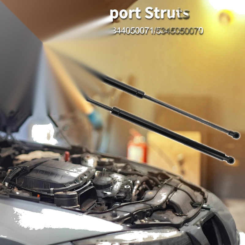 Lexus LS460 Hood Lift Supports Struts (2007-2017)