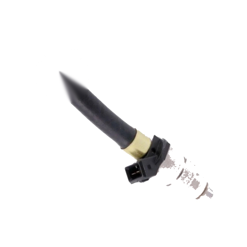 Petrol Fuel Injector 2.4L L24E/3.0L RB30E Nissan Skyline R30 R31 (1982-1990)