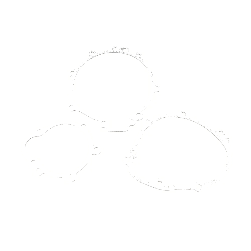 Kawasaki Ninja ZX10R Engine Cover Gasket (2008-2010)