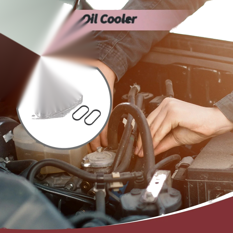 BMW 316i E46 Engine Oil Cooler (1998 - 2006)