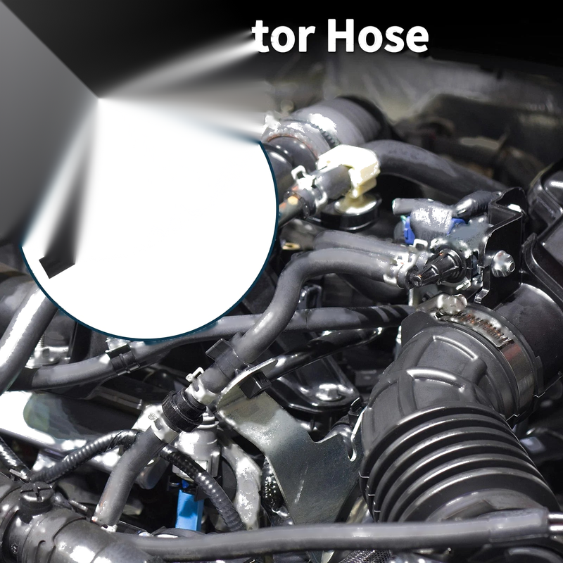 Honda Civic 2.0L Radiator Hose (2002-2005)