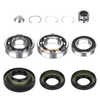 Honda Foreman Rubicon 500 Rear Differential Bearing Seal Kit (2015–2024)