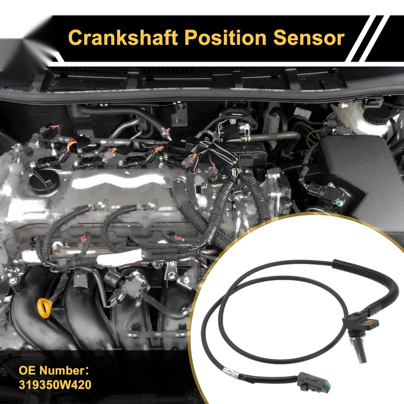 Nissan NP300 Navara 2.5dCi Crankshaft Position Sensor (2005-2006)