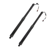 Hyundai Santa Fe Rear Tailgate Power Hatch Lifts (2013-2018)