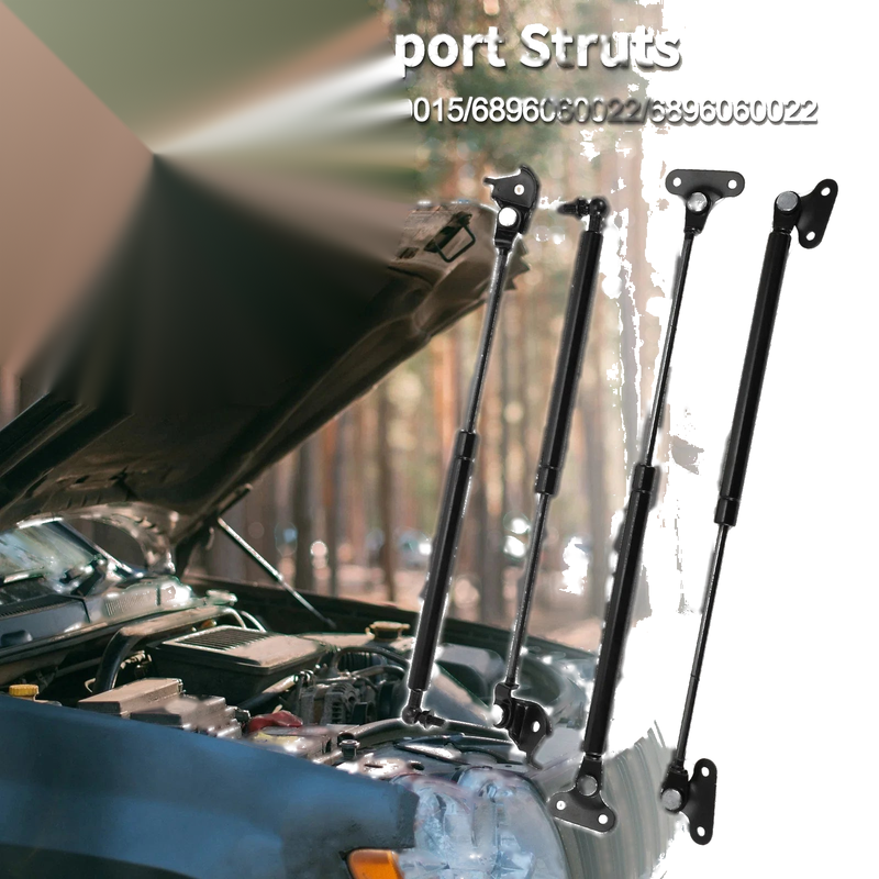 Toyota Land Cruiser Hood & Hatch Lift Supports (2008-2021)