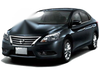 Nissan Sylphy / Sentra / Pulsar B17 Front Mesh Grille (2012-2016)