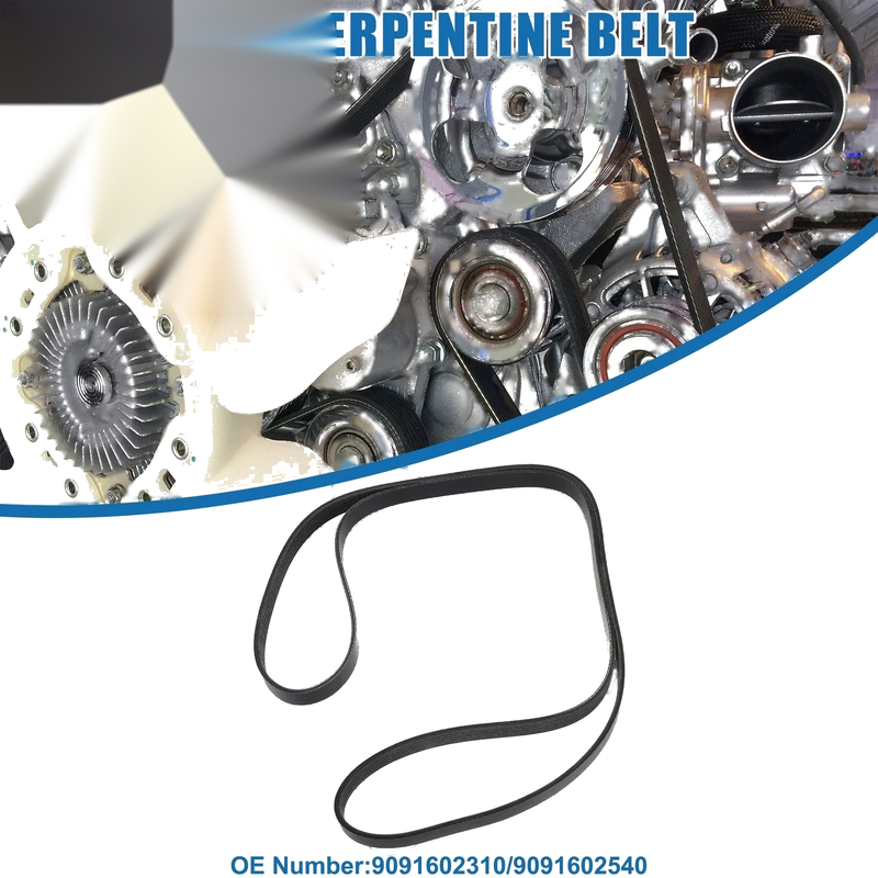 Toyota Supra Serpentine Belt (1993–1998)