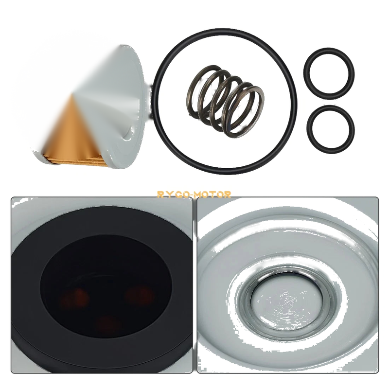 Honda ATC250ES / SX TRX250R / X TRX300FW TRX400FW Oil Filter w/ O-Ring Spring