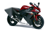 Yamaha R1 Stainless Fairing Bolt Kit Dzus Quick Release (2002–2003)
