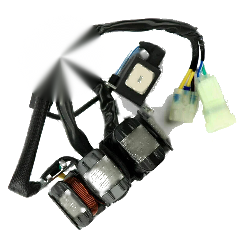 Honda TRX250 FourTrax 250 Stator Coil (1997-2004)