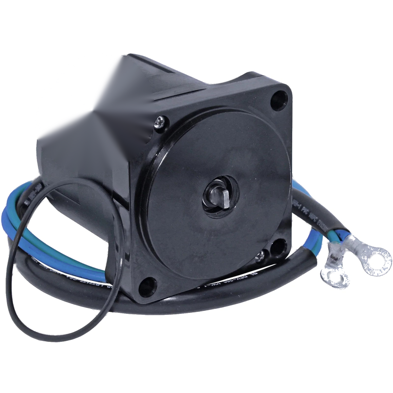 Suzuki DF115 / DF115Tl 115HP (2001-2010) Outboard Engine Tilt & Trim Motor
