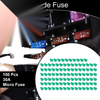 Car Boat Truck RV Motorcycle 100 Pcs 30A Blade Fuse