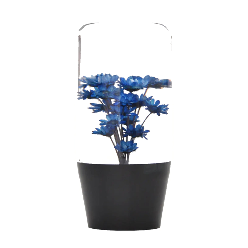 10cm Blue Hana Gear Knob