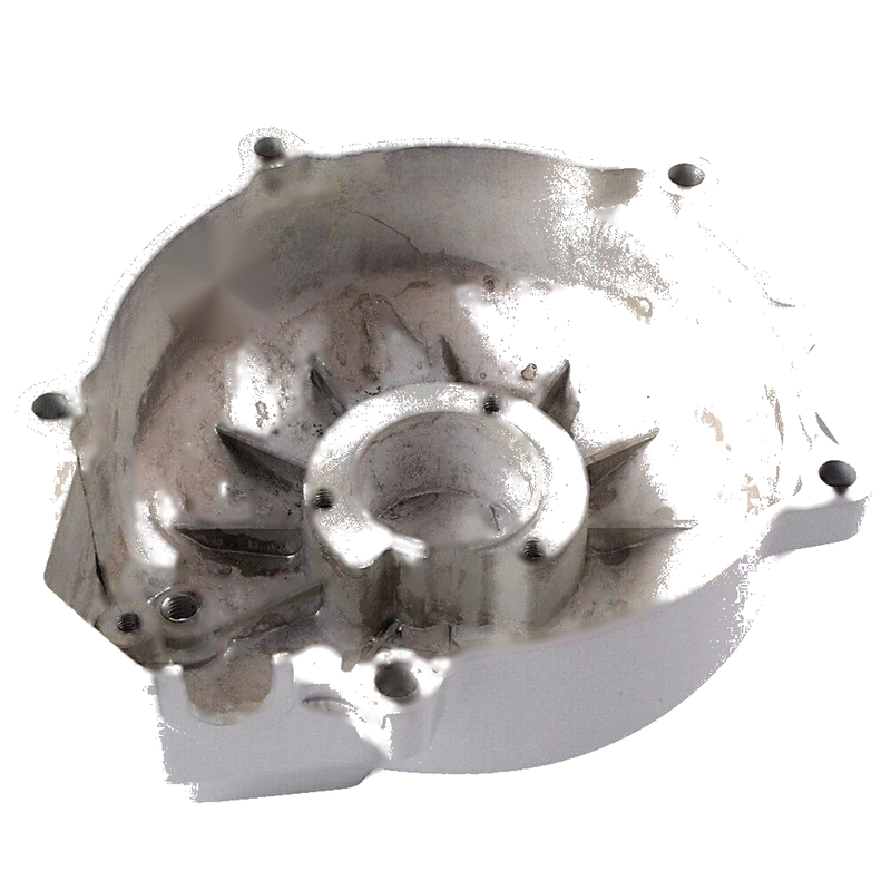Yamaha FZ400 FZS600 Engine Stator Cover (1997-1998)