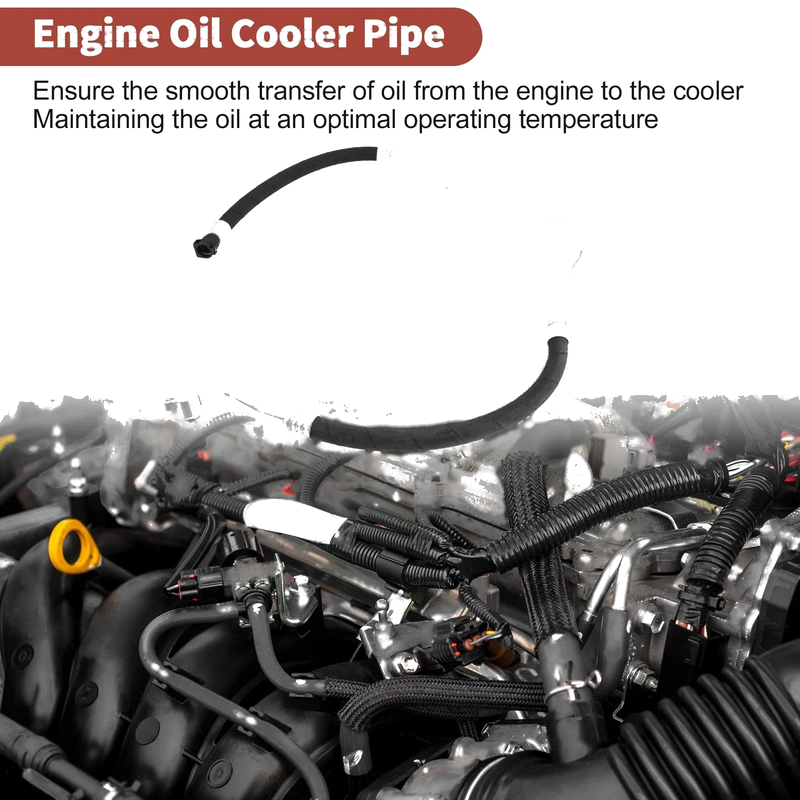 BMW 535i F10 Inlet Engine Oil Cooler Tube (2009-2009)