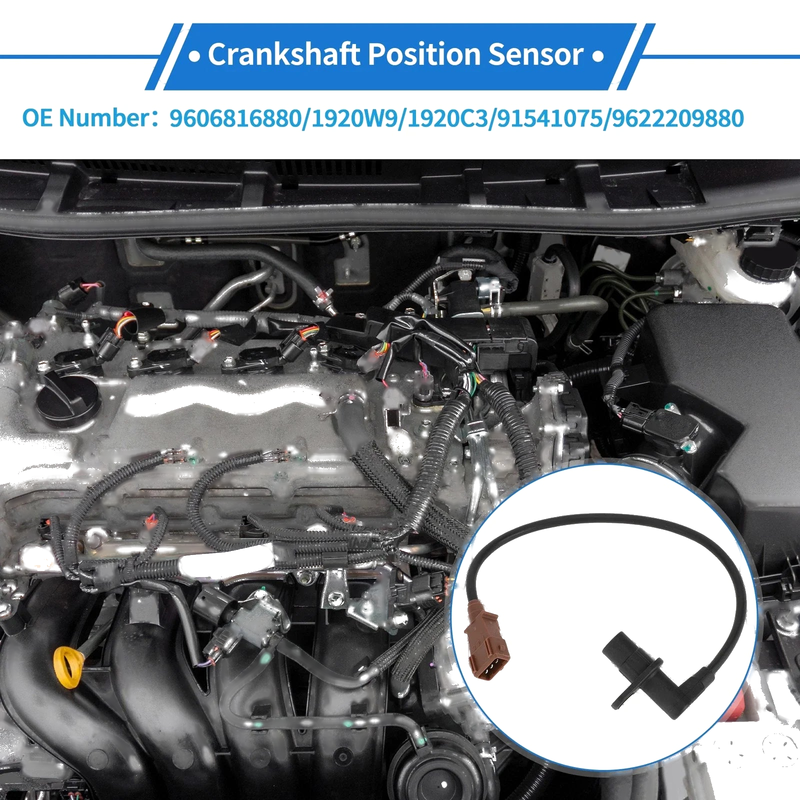 PEUGEOT 206 Hatchback Crankshaft Position Sensor (1998-2001)