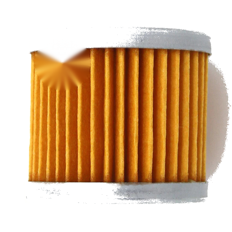 Hyosung XRX125 GV125 AQUILA GT250 GT250R GF125 GV250 Oil Filter (2002-2023)
