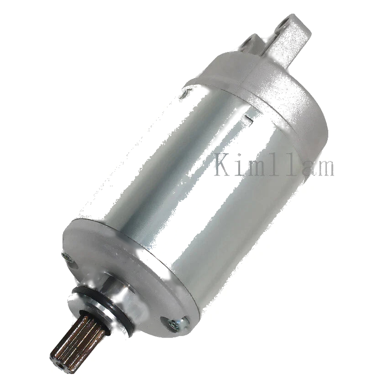 Suzuki GSX-R750, GSX-750, GS500E, GS500H Starter (1985-2011)