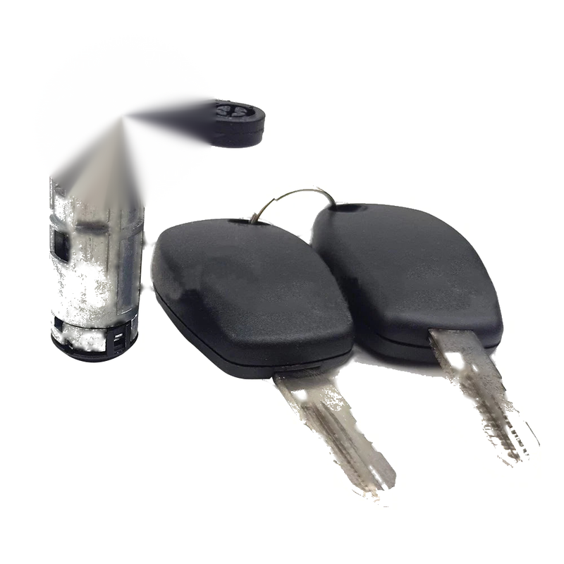 Renault Lada Ignition Switch Lock w/ 2 Keys (2005-2010)