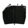 KAWASAKI NINJA ZX10R ZX-10R ZX1000FAF Radiator Cooler (2008-2010)