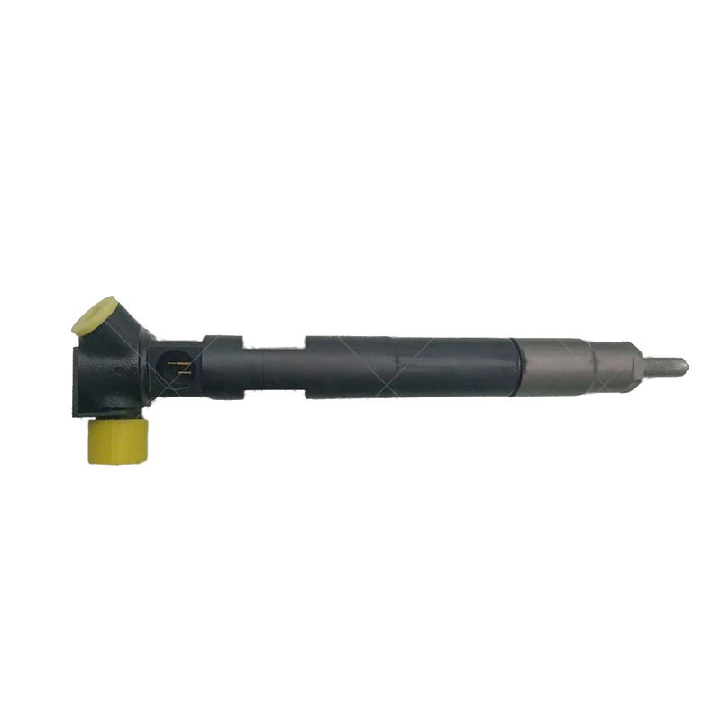 Delphi Benz Fuel Injector (28307309)