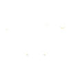 Datsun 620 510 B210 720 810 10 Pieces Door Bushing Set