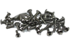 Triumph Street Triple 2 x Stainless Steel Fork Head Bolts (2007–2012)