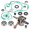 Kawasaki KX80 / KX85 / KX100 Engine Rebuild Kit, Crankshaft, Bearings, Gaskets