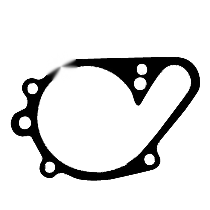 Kawasaki Vulcan 1500 NV1500 Water Pump Gasket (1999–2008)
