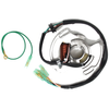 Yamaha YFS200 Blaster Stator Coil (2003-2007)