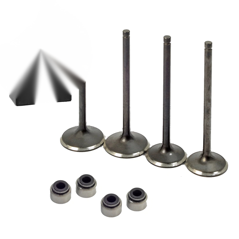 Polaris Predator 500 / Outlaw 500 Head Intake Exhaust Valves Seals (03-07)