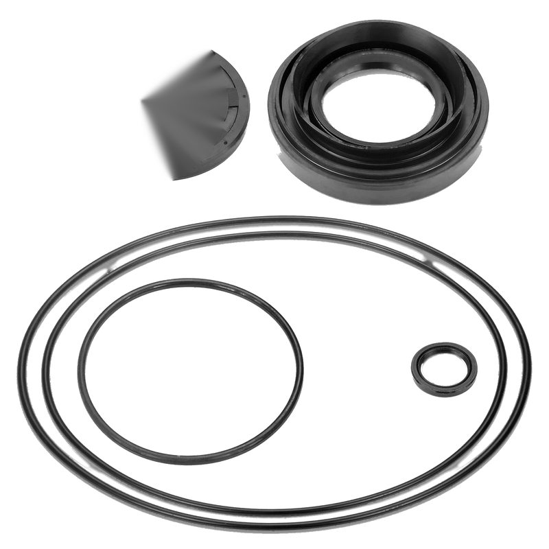 Honda Rancher TRX350 Rear Diff Bearing Seal Kit & Nut