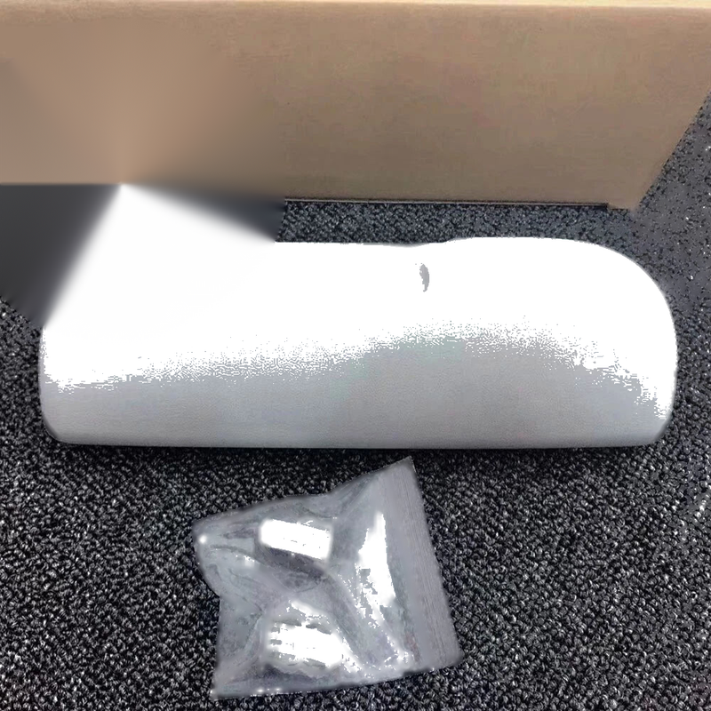 14-19 Smart Fortwo 453 1x Glasses Case Holder (2014-2019)