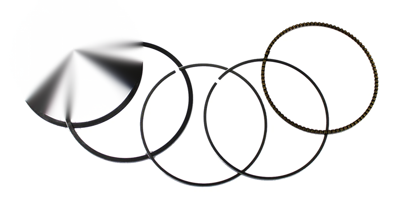 Honda Fourtrax 300 2x4 4x4 Piston Rings 74mm Namura (1988–2000)