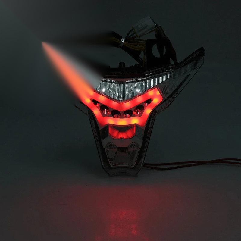 Kawasaki Z1000, Ninja ZX10R LED Tail Light Turn Signal (2014-2022)