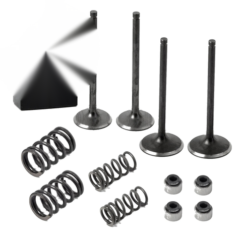 Polaris Predator 500 Intake Exhaust Valves Seals Spring (2003–2007)