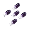 Car 10 x Purple Halogen Clear Glass Instrument Light Bulbs (Various Years)