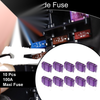 Car Boat Truck RV Motorcycle Purple 10 Pcs Blade Fuse 100A Maxi