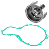 Polaris Predator 500 Flywheel & Gasket (2003-2007)