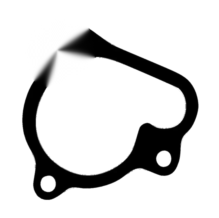 Honda NSR250 MC16 MC21 MC28 NSR250SE NSR250SP Waterpump Gasket