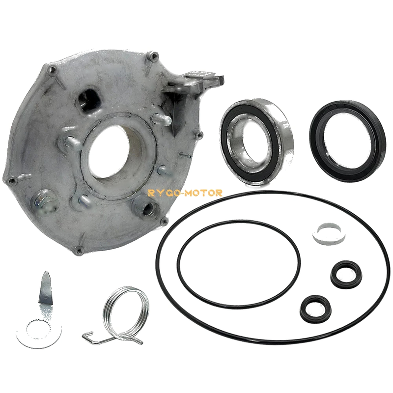 Honda FourTrax 300 TRX300 2 x Rear Brake Panel & Brake Shoes (1988–2000)